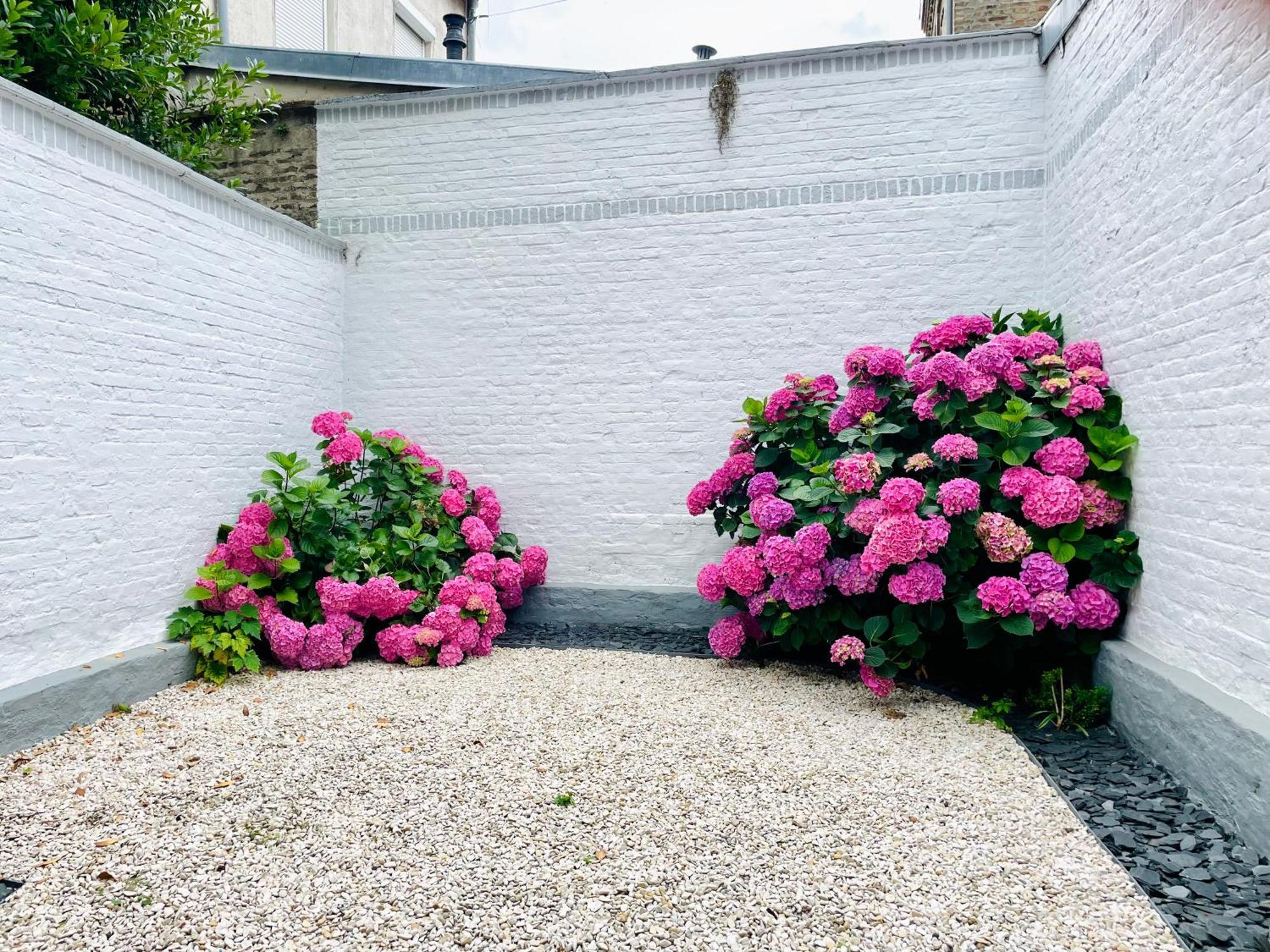 Jardins De Castille - 200M De La Gare - Home Cinema Amiens Dış mekan fotoğraf